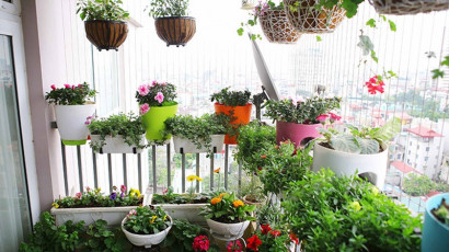 Trồng rau tại nhà, trồng cây tại căn hộ chung cư với vườn đứng HOLO CELL 200VG